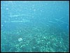 IMG_3886.JPG