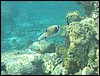 IMG_3894.JPG