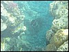 IMG_3902.JPG
