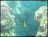 IMG_3903.JPG