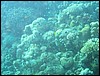IMG_3906.JPG