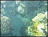 IMG_3907.JPG