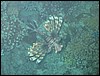 IMG_3914.JPG