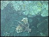 IMG_3923.JPG