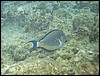 IMG_3934.JPG