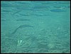 IMG_3939.JPG
