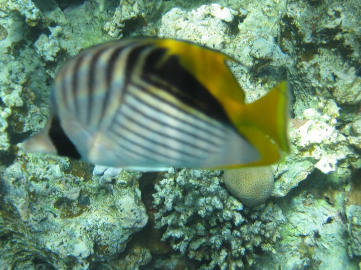 IMG_3950.JPG