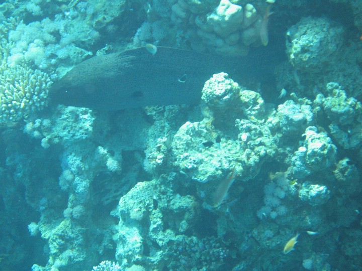 IMG_3954.JPG