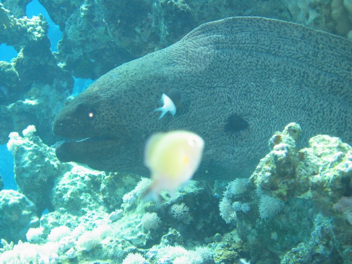 IMG_3955.JPG