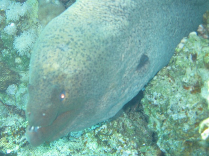 IMG_3956.JPG