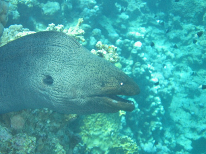 IMG_3958.JPG