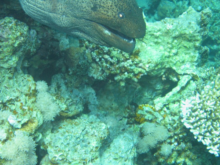 IMG_3959.JPG