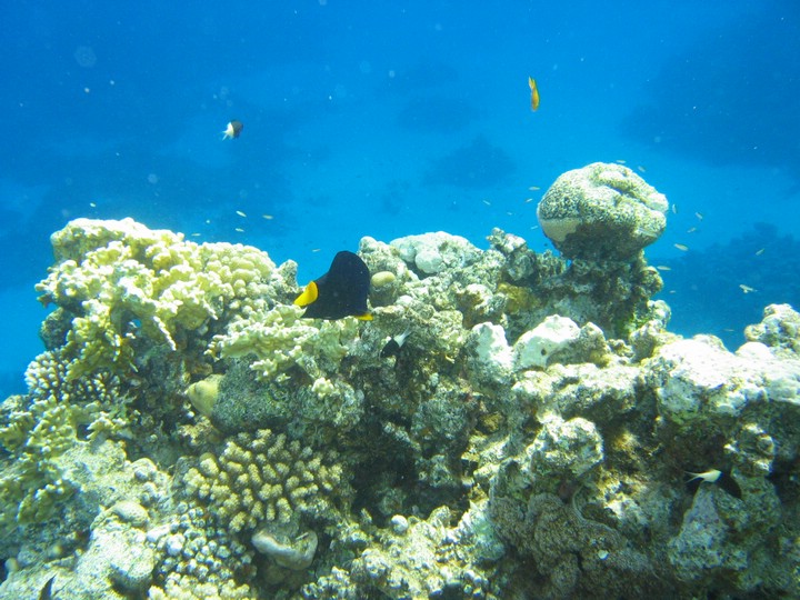 IMG_3962.JPG