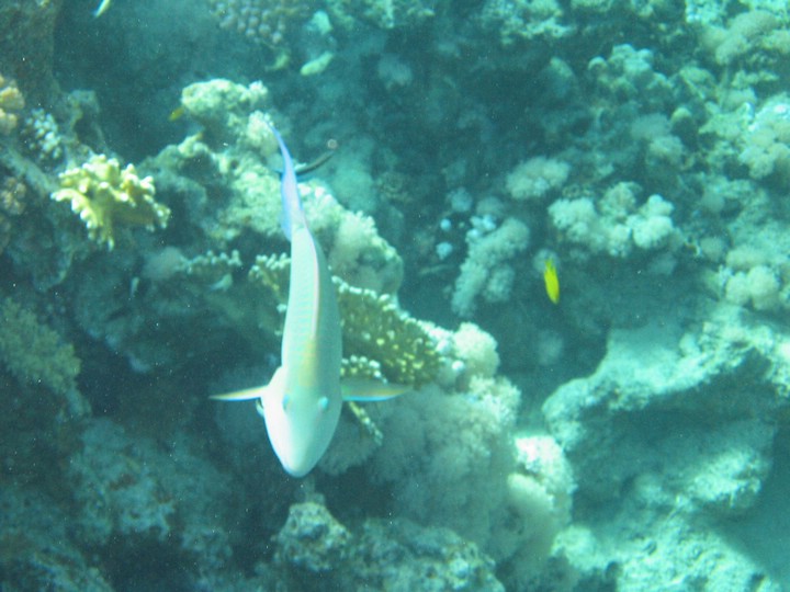 IMG_3963.JPG
