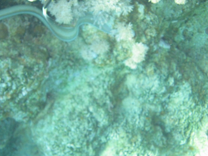 IMG_3965.JPG