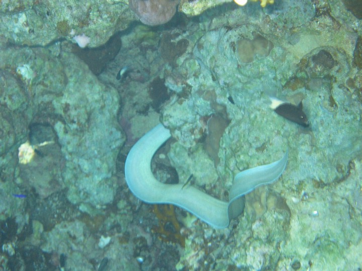 IMG_3967.JPG