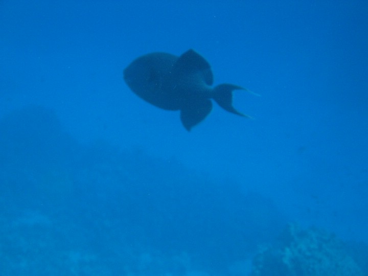 IMG_3970.JPG