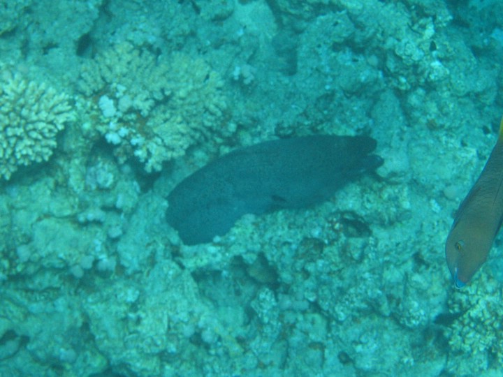 IMG_3974.JPG