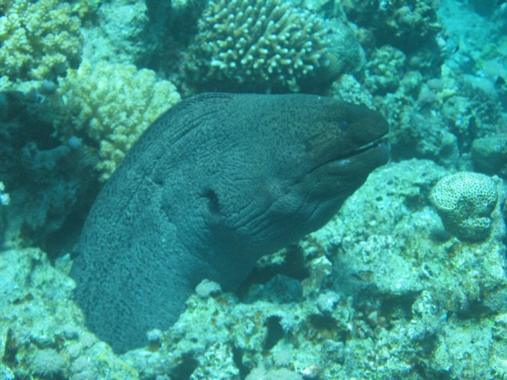 IMG_3975.JPG