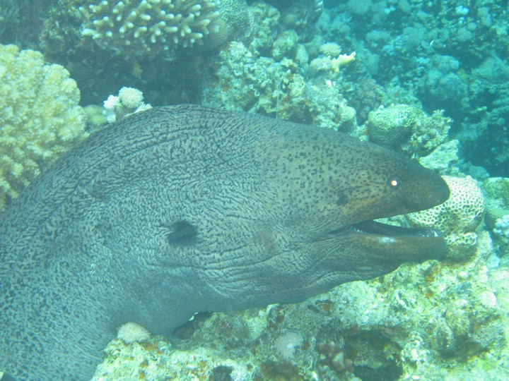 IMG_3978.JPG