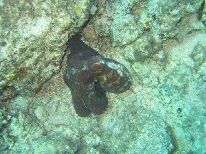 IMG_3992.JPG