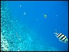 IMG_3946.JPG