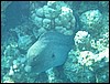 IMG_3953.JPG