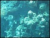 IMG_3954.JPG