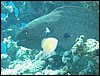IMG_3955.JPG