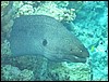 IMG_3957.JPG