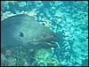 IMG_3958.JPG