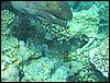 IMG_3959.JPG