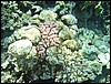 IMG_3961.JPG