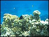 IMG_3962.JPG