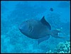 IMG_3972.JPG