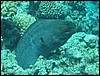 IMG_3975.JPG