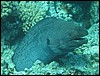 IMG_3976.JPG