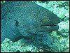 IMG_3977.JPG