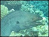 IMG_3978.JPG