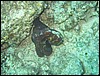 IMG_3992.JPG