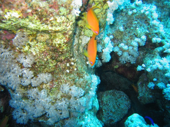IMG_4041.JPG