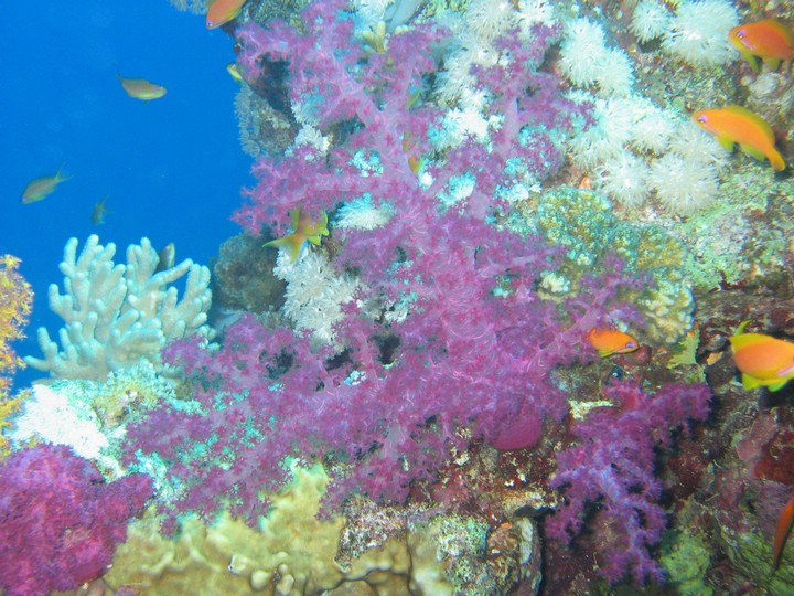 IMG_4049.JPG