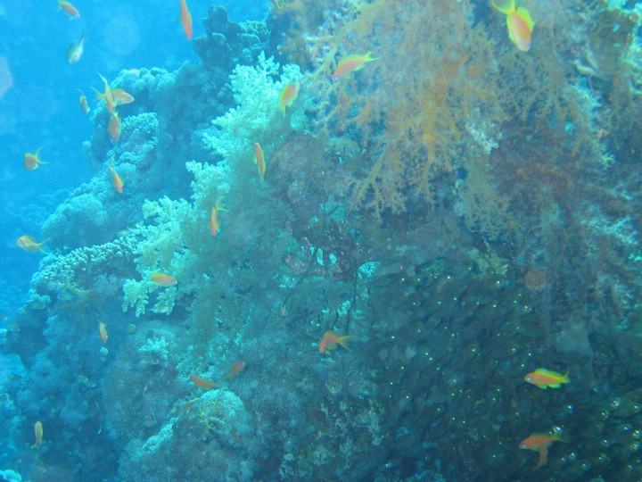 IMG_4050.JPG