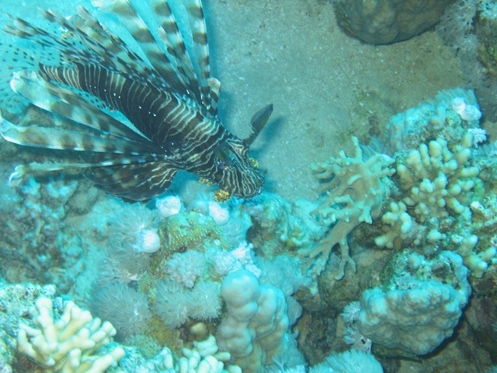 IMG_4052.JPG