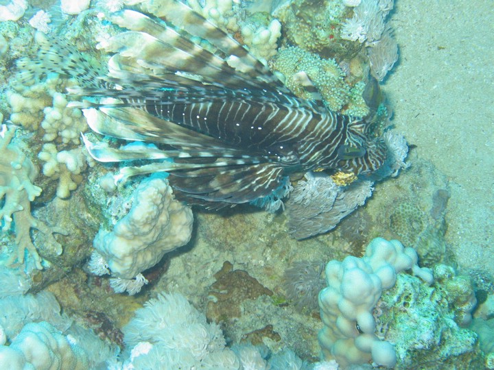 IMG_4053.JPG