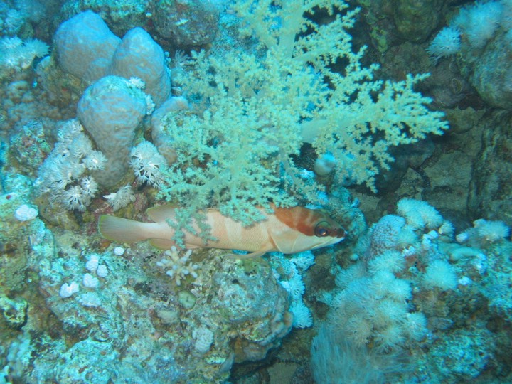 IMG_4057.JPG