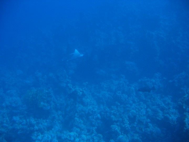 IMG_4060.JPG