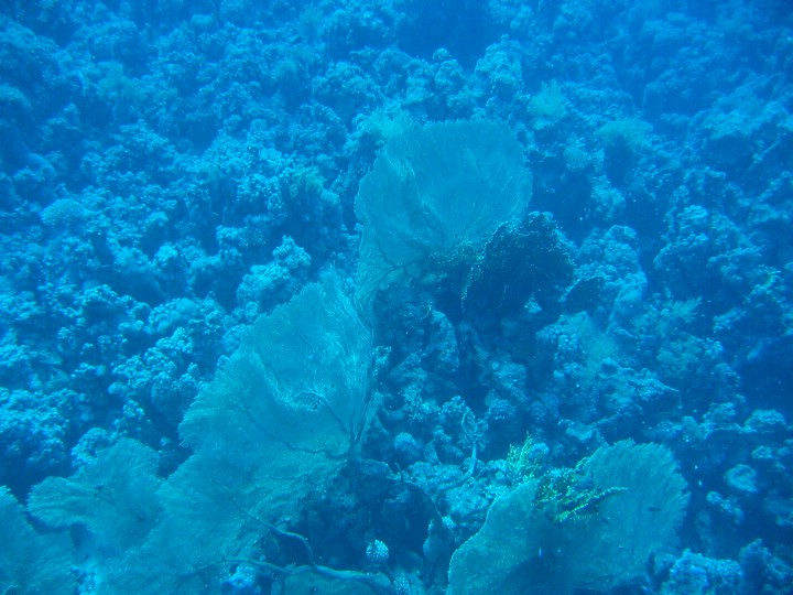 IMG_4071.JPG