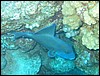 IMG_4036.JPG