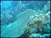 IMG_4039.JPG